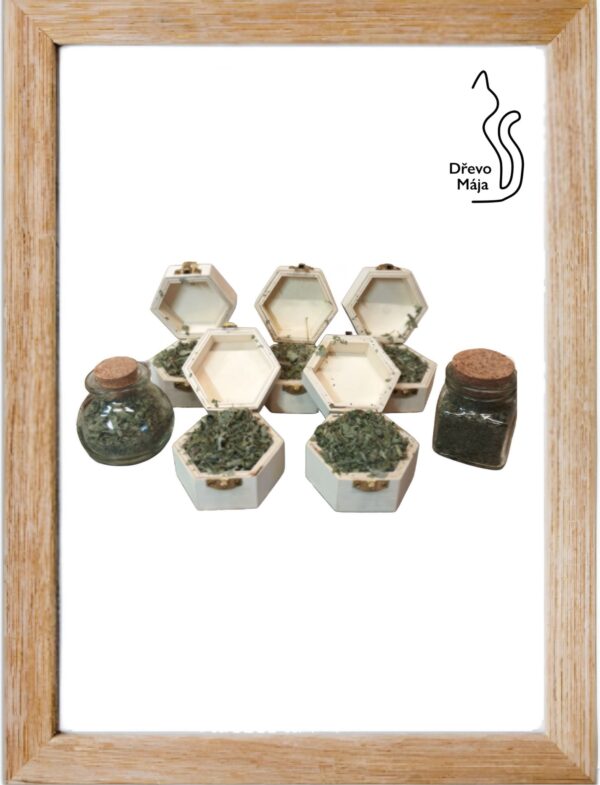 Šanta kočičí (Catnip) – 100% přírodní bylina pro kočky